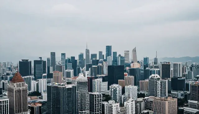 信息执行落地：商务配套服务的性能与适用条件分析